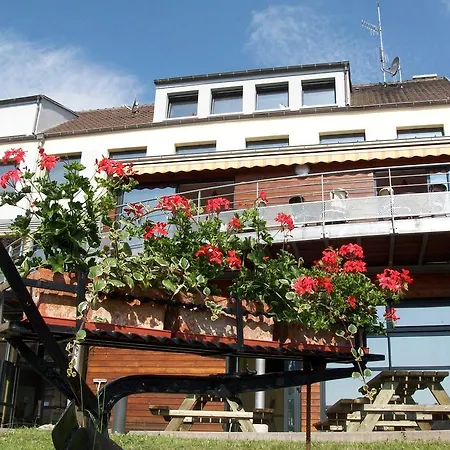 Centre International De Sejour - Le Mittel Mittelwihr