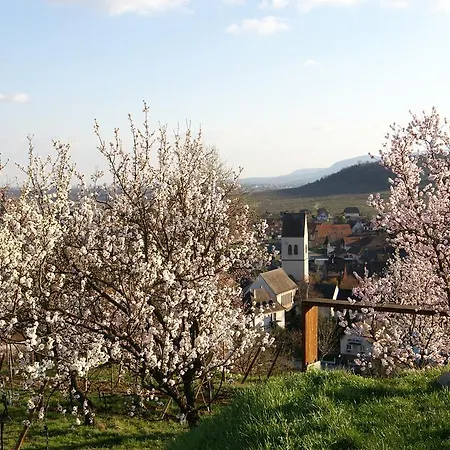 Hotel Centre International De Sejour - Le Mittel 2*