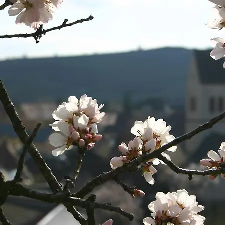 - Le Mittel Hotel 2*