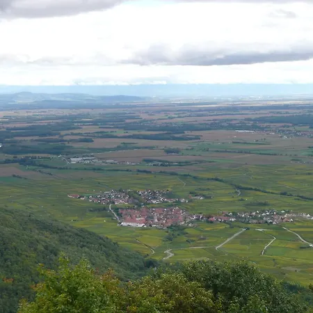 Hotel - Le Mittel Mittelwihr