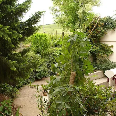 Centre International De Sejour - Le Mittel 2* Mittelwihr